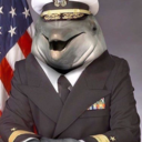 dolphincommander avatar