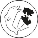 dolphinkickbearbear avatar