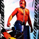 dolphinking1778 avatar