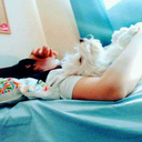 dolphinofthedesire avatar