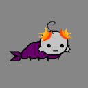 dolphinpebbles avatar