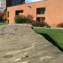 dolphinpirate avatar