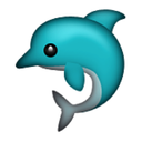 dolphinternet avatar