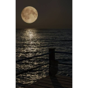 dolunaydakaybolanlady avatar