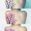 domaniunaltrogiornoarrivera avatar