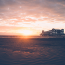 domdomdihoang avatar