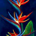 domeofpleasure avatar