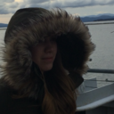 domesticbears avatar