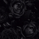 dominant-ownerdoe avatar