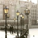 dominian-dracologist avatar