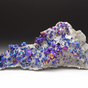 dominicgracco avatar