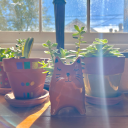 dominique-arceneaux avatar