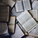 dominosadventures avatar