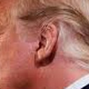 donald-trumps-right-ear avatar