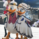 donaldduckhugs avatar