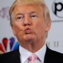 donaldtrumpmemes avatar