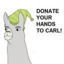 donateyourhandstocarl avatar