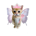 dongfangqueen avatar