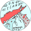 dongislandny avatar