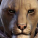 donkeyfactory avatar