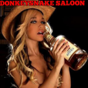 donkeysnakesalon avatar