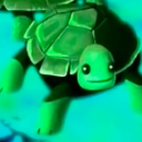 donnieandhisbackupturtles avatar