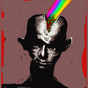 donredondocorazon avatar