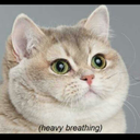 dont-be-a-hater-darling avatar