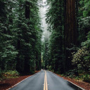 dont-be-delicate-be-brillant avatar