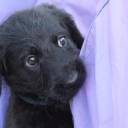 dont-care-too-tired avatar