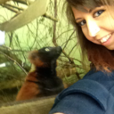 dont-conform-to-formulas avatar