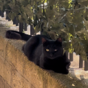 dont-go-in-the-water avatar