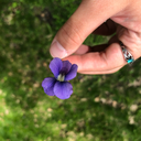 dont-mind-me-bb avatar