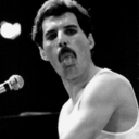 dont-stop-freddie-now avatar