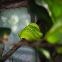 dontaskmewhyiwrite avatar