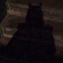 dontbeabitchdude avatar