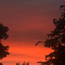 dontburnthekindling avatar