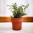 dontcallhersam avatar