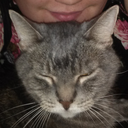 dontdontaboutthings avatar