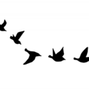 dontdreamjustlive avatar