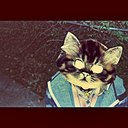 donteattheberriesaroundyou avatar