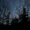 donteven-trip avatar