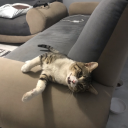 dontevenwannacare avatar