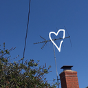 dontforgetthepiesam avatar