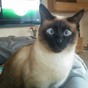 dontfuckafucker-blog avatar