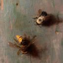 dontfuckwithbees avatar