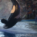 dontgetblackfished avatar