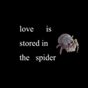 dontkillspiders avatar