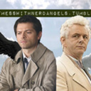 dontmesswithnerdangels avatar