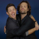 dontmesswiththemoose avatar